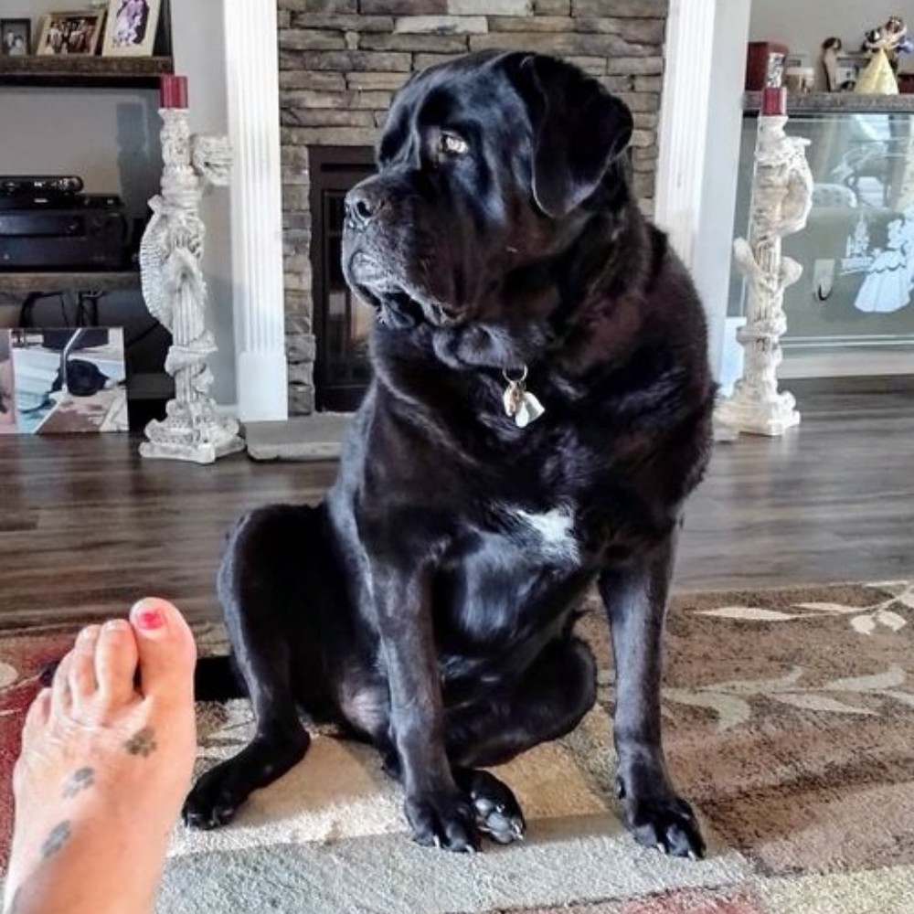 Meet your Posher, Judy